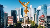 City Tour with Xochimilco and Coyoacan Tour 