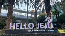 JEJU Small Group Private Day Tour