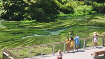 Private Tour WaiOtapu & Huka Falls & Blue springs from Auckland