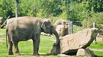 Prague Zoo Admission Ticket with Transfer and Audio Guide