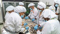  Ghana Chocolate Tasting Experience 