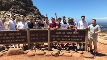  Cape Of Good Hope Seals, Penguins , wine Tasting Small Group 
