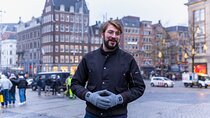 Amsterdam Layover: Walking Tour & Canal Cruise + Airport Transfer