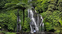 North Bali Ulundanu Temple, Handara Gate , Waterfall