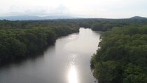 Organic Farm, Chocolate and Gandoca Lagoon Full Day Experience 