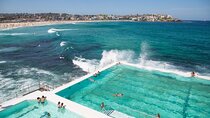Sydney Private Tour - Pick up & Drop off