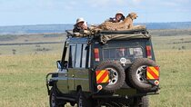 8 Days Masai Mara Lake Manyara, Ngorongoro and Serengeti Safari