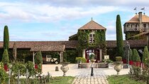 Visit to Pessac-Léognan: Vineyards, Lunch and Tastings included