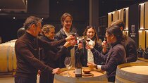 High-End Vineyard Escape: Cava, Tapas & Wine | Private Tour