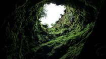 From Angra: Terceira Island Half-Day Geotour (Shared Tour)