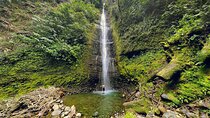 Discover Yanacocha and Tamandua Amazon Full Day Tour from Baños 