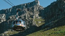 Half day table mountain and penguins group tour