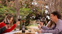 Wines, Vineyards and Picnic: the Charm of the Mendoza Wineries