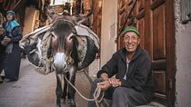 Fes Medina Walking Tour 