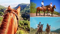 Fethiye Oludeniz Horse Riding With Transfer 