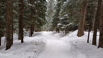 Hike and Sled in Borovets With a Visit of Royal Bistritsa Palace
