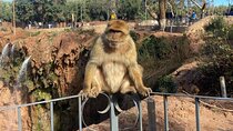 Ouzoud Waterfalls Group Tour - Cascadas De Ouzoud - Ouzoud trips