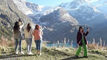 See It All Sightseeing Tour Tickets included Private from Bern