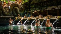Best Ubud Tour Private Tour All Inclusive Package