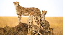 12 Days Tour Namibia In Plus | Self Drive Lodge
