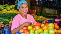 Half-day cultural city tour from Punta Cana for small groups