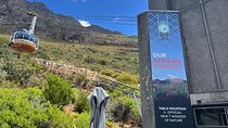 Cape Town Half-Day Tour: Table Mountain, Signal Hill & Bo-Kaap