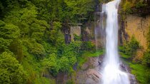 4 Days Tour in Sri Lanka to Unique Destinations Across the Island