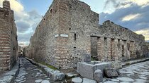 Private Transfer to Sorrento from Naples with Stop 2H in Pompeii 