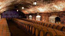 Half-Day Concha y Toro Winery Tour with Premium Lunch