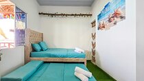 Accommodation on the beach (baro) with transport, breakfast and lunch