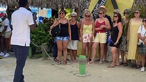Negril Seven Mile Beach Tour and Cliff Jumping