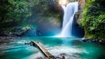 Ubud Tour: Waterfall, Sacred Temple, Rice Terrace, Monkey Forest