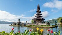 Explore North Bali (Temple, Waterfall, Rice Terrace)
