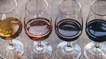Wine Tasting in the Center of Seville with Pairing