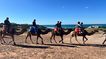 Tangier 1 Day Guided Tour with Transportation