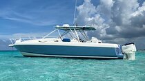 Luxury Half Day Private Charter aboard Mojito Majic