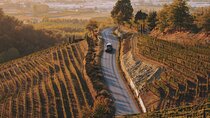 6-hour Private Luxury SUV Wine Tour in Napa Or Sonoma Valley
