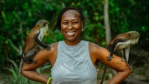 Wli Waterfall and Tafi Atome Monkey Sanctuary (Day Visit)