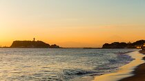 From Tokyo: Private Tour to Kamakura - Temples, Sea, and Onsen