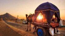Pushkar Cultural Day Trip from Jaipur