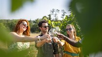 Provence Wine Tour Small Group from Aix