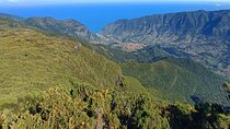 Private West Tour to Porto Moniz Pools and Fanal Forest