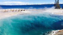 7-Day Tour in Yellowstone and Las Vegas From Salt Lake City