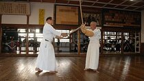 Samurai Fencing Geisha Dance and Mito Kairakuen Garden 