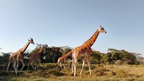 3 Days Meru National Park Experience 