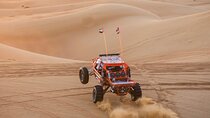 30minutes Buggy Camel Dune Bashing VIP Camp and BBQ