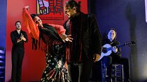 Flamenco Show at Tablao Alvarez Quintero in Seville