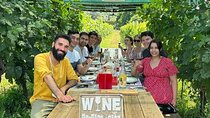 Tasting in a Tuscan Vineyard with transfer from Lucca