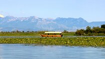 Virpazar Private Sightseeing Lake Skadar Boat Tour with Wine