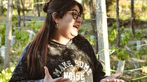 Flavors and Landscapes of Mendoza: Wine and Olive Oil Route